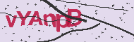 Codice captcha
