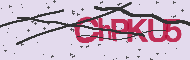 Codice captcha
