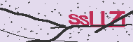 Codice captcha