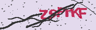 Codice captcha
